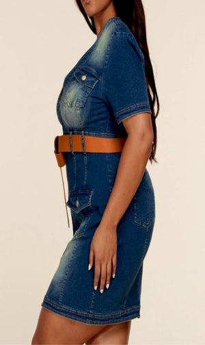 Denim Curvy Mini Dress